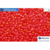 Preciosa czech seed beads 1 quality orange AB (91050) 10/0