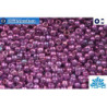 TOHO Beads Gold-Lustered Dark Amethyst (205) 11/0