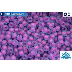TOHO Beads Inside-Color Frosted Aqua/Purple Lined(252FM) 11/0