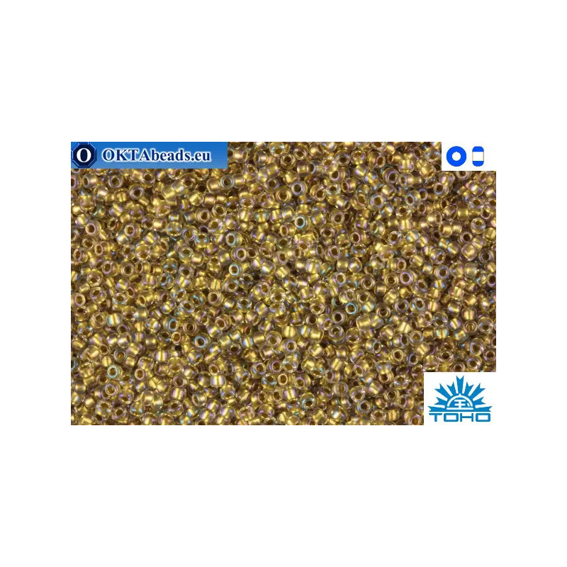 TOHO Beads Inside-Color Crystal/Gold Lined (262) 11/0