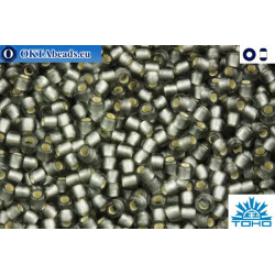 TOHO Beads Silver-Lined Frosted Gray (29BF) 11/0