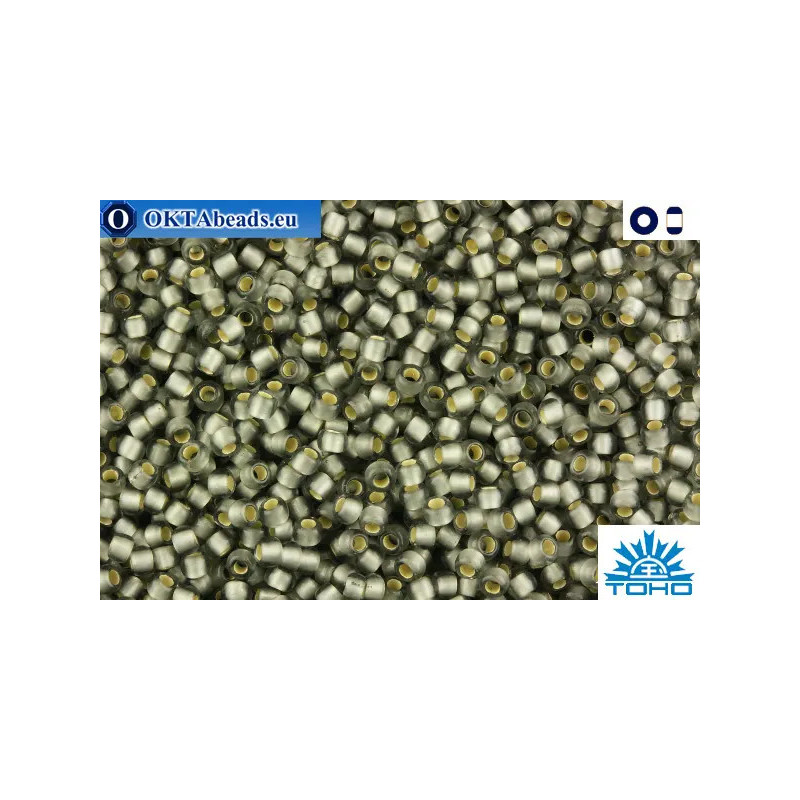 TOHO Beads Silver-Lined Frosted Black Diamond(29F) 11/0