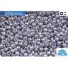 TOHO Beads Gold-Lustered Pale Wisteria (455) 11/0