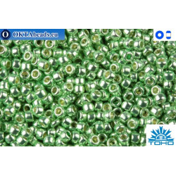 TOHO Beads Permanent Finish - Galvanized Sea Foam (PF560) 11/0
