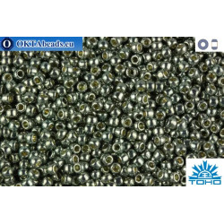 TOHO Beads Permanent Finish - Galvanized Blue Slate (PF565) 11/0
