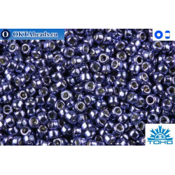TOHO Beads Permanent Finish - Metallic Polaris (PF567) 11/0