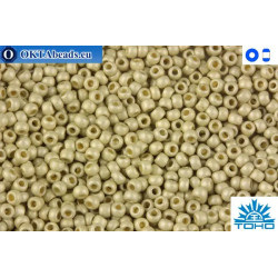 TOHO Beads Permanent Finish - Matte Galvanized Aluminum (PF558F) 15/0