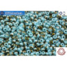 COTOBE Beads Turquoise and Old Bronze (J008) 11/0