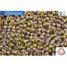 COTOBE Beads Lavender and Gold (J015) 11/0