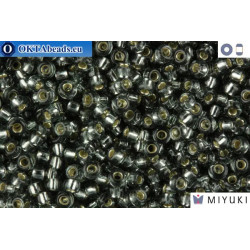 MIYUKI Beads Silver Line Transparent Grey (21) 11/0