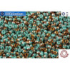 COTOBE Beads Green Turquoise and Sunrise (J042) 11/0