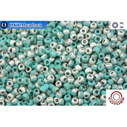 COTOBE Beads Green Turquoise and Silver Mat (J045) 11/0