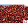COTOBE Beads Brick-red and Sunset Mat (J051) 11/0