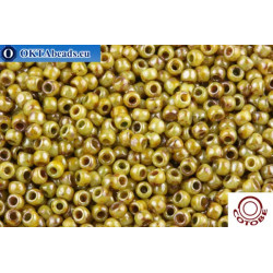 COTOBE Beads Antique Apple (J061) 11/0
