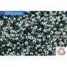 COTOBE Beads Emerald and Silver (J073) 11/0