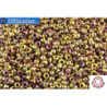 COTOBE Beads Ancent Gold and Sunset (J088) 8/0