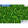Preciosa czech seed beads 1 quality green silver line (57430) 10/0