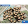 Triangle Beads bronze (LZ23980) 6mm5g