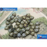 Triangle Beads brown iris matte (21115JT) 6mm5g