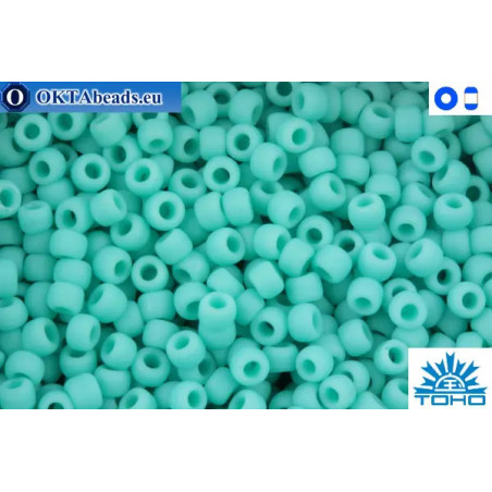 Toho Beads Opaque-Frosted Turquoise (55F) 11/0