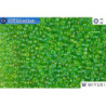 MIYUKI Beads Transparent Light Green AB 11/0 (259)
