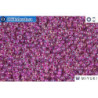 MIYUKI Beads Raspberry Lined Crystal AB 11/0 (264)