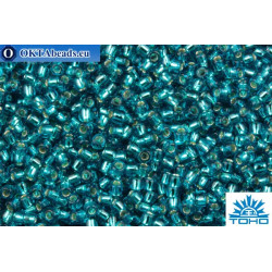 TOHO Beads Round Light Green Aqua Silver Lined (23BDA) 11/0