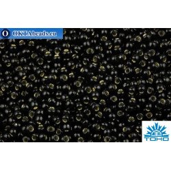 TOHO Beads Round Black Silver Lined (2210) 11/0