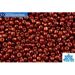 TOHO Beads Round PermaFinish Cabernet Galvanized (PF564) 15/0
