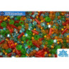 TOHO Beads Mix Haiku- Orange/Green/Blue Mix (3228)