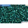 MIYUKI Beads Delica Sparkling Aqua Green Lined Tea AB (DB1769) 11/0