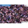 MIYUKI Beads Mix Lilacs 11/0 (mix01)