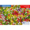 Preciosa czech seed beads mix 10/0