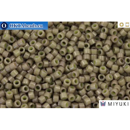 MIYUKI Beads Delica Duracoat Opaque Ash Grey (DB2365) 11/0