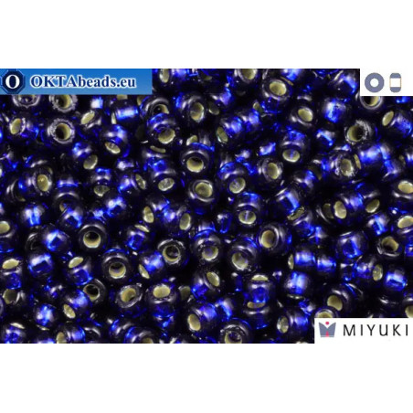 MIYUKI Beads DURACOAT Silver Line Navy Blue (4281) 11/0