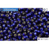 MIYUKI Beads DURACOAT Silver Line Navy Blue (4281) 11/0