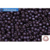 COTOBE Beads Antique Plum 11/0