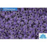 TOHO Beads Round Inside Color Frosted Rainbow Crystal/Metallic Purple Lined (265F) 11/0