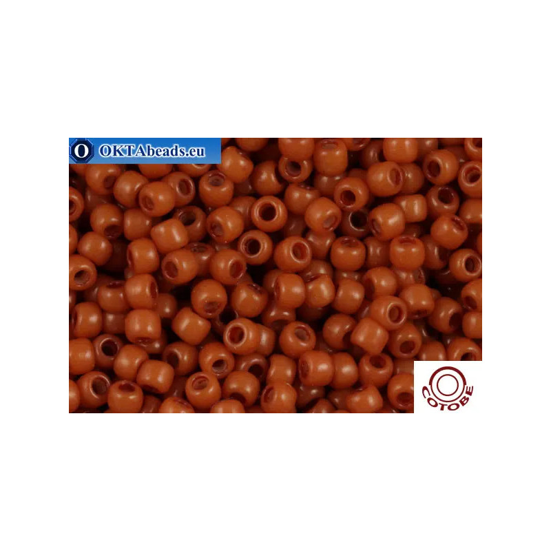 COTOBE Beads Cinnamon Stick (2011) 11/0