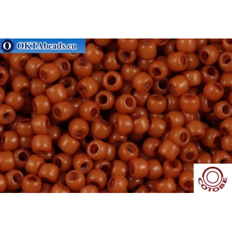 COTOBE Beads Cinnamon Stick (2011) 11/0