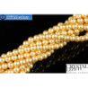 Austrian crystal pearls Crystal Gold Pearl (296) 4mm