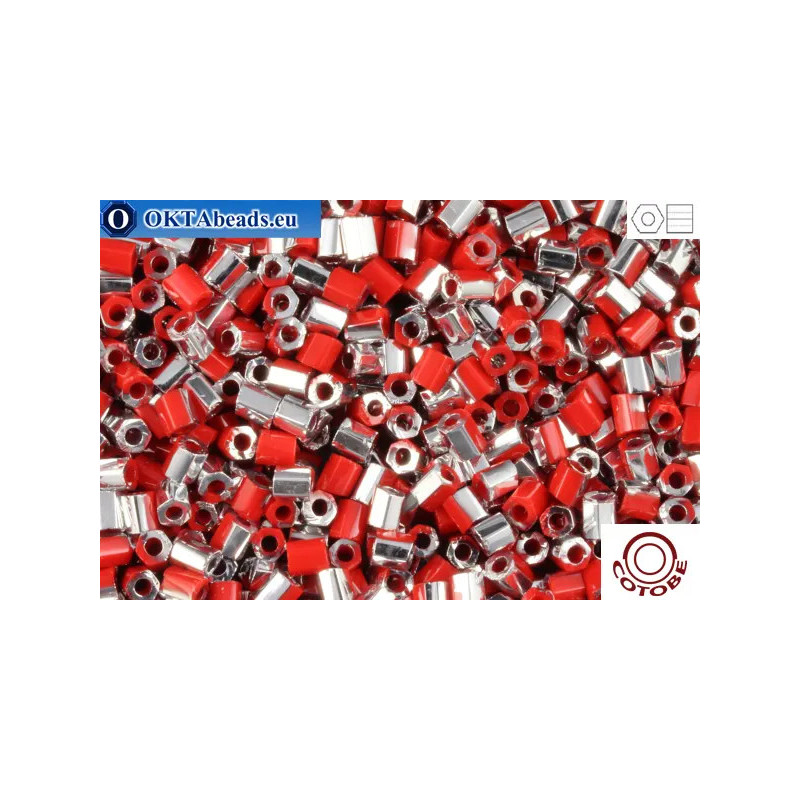 COTOBE Beads 2cut Brick-red and Silver (06070) 11/0