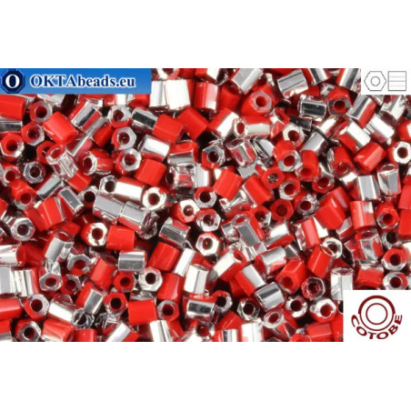COTOBE Beads 2cut Brick-red and Silver (06070) 11/0