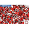 COTOBE Beads 2cut Brick-red and Silver (06070) 11/0