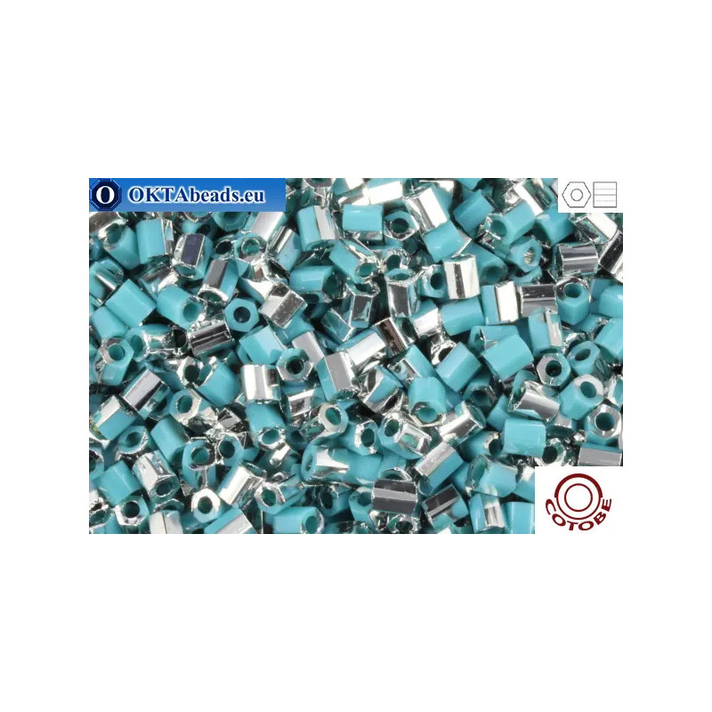 COTOBE Beads 2cut Turquoise and Silver (06110) 11/0