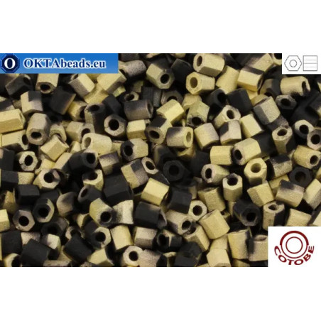 COTOBE Beads 2cut Black and Gold Mat (05010M) 11/0