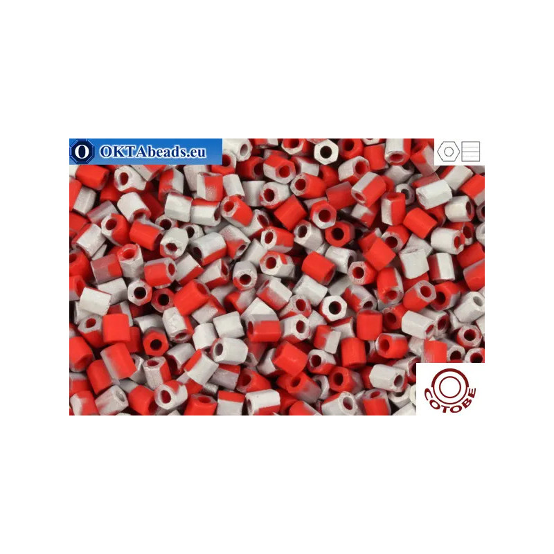 COTOBE Beads 2cut Brick-red and Silver Mat (06070M) 11/0