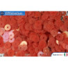 WH flat sequins Red Orientali (154) 4mm