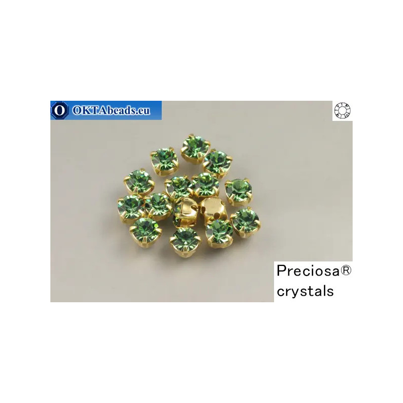 WH Chaton Preciosa Maxima Erinite - gold ss16