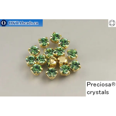 WH Chaton Preciosa Maxima Erinite - gold ss16